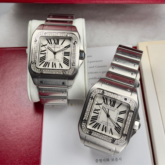 Cartier Santos 100 - FS Fine Watches