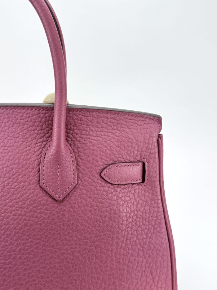 Hermes Birkin 30 Retourne Togo Tosca Inside Magnolia Gold Hardware Preowned - Image 5