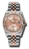 Rolex Datejust Sundust Roman Dial on Jubilee Ref 116231