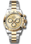 Rolex Daytona Gold Dial on Oyster Ref 126503 with New Style Card Green  2024